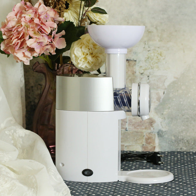 Automatic Frozen Fruit Dessert & Fruit Ice Cream Machine