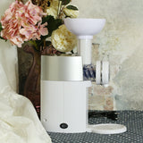 Automatic Frozen Fruit Dessert & Fruit Ice Cream Machine