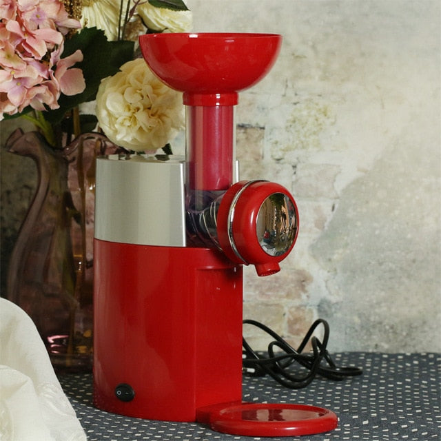 Automatic Frozen Fruit Dessert & Fruit Ice Cream Machine