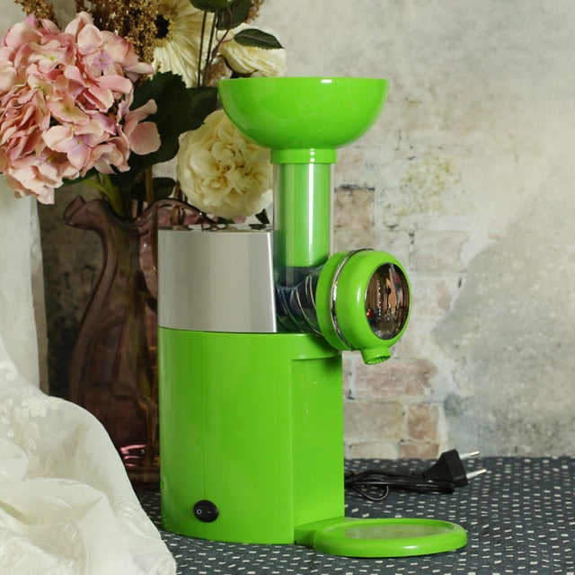 Automatic Frozen Fruit Dessert & Fruit Ice Cream Machine