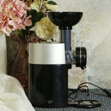 Automatic Frozen Fruit Dessert & Fruit Ice Cream Machine